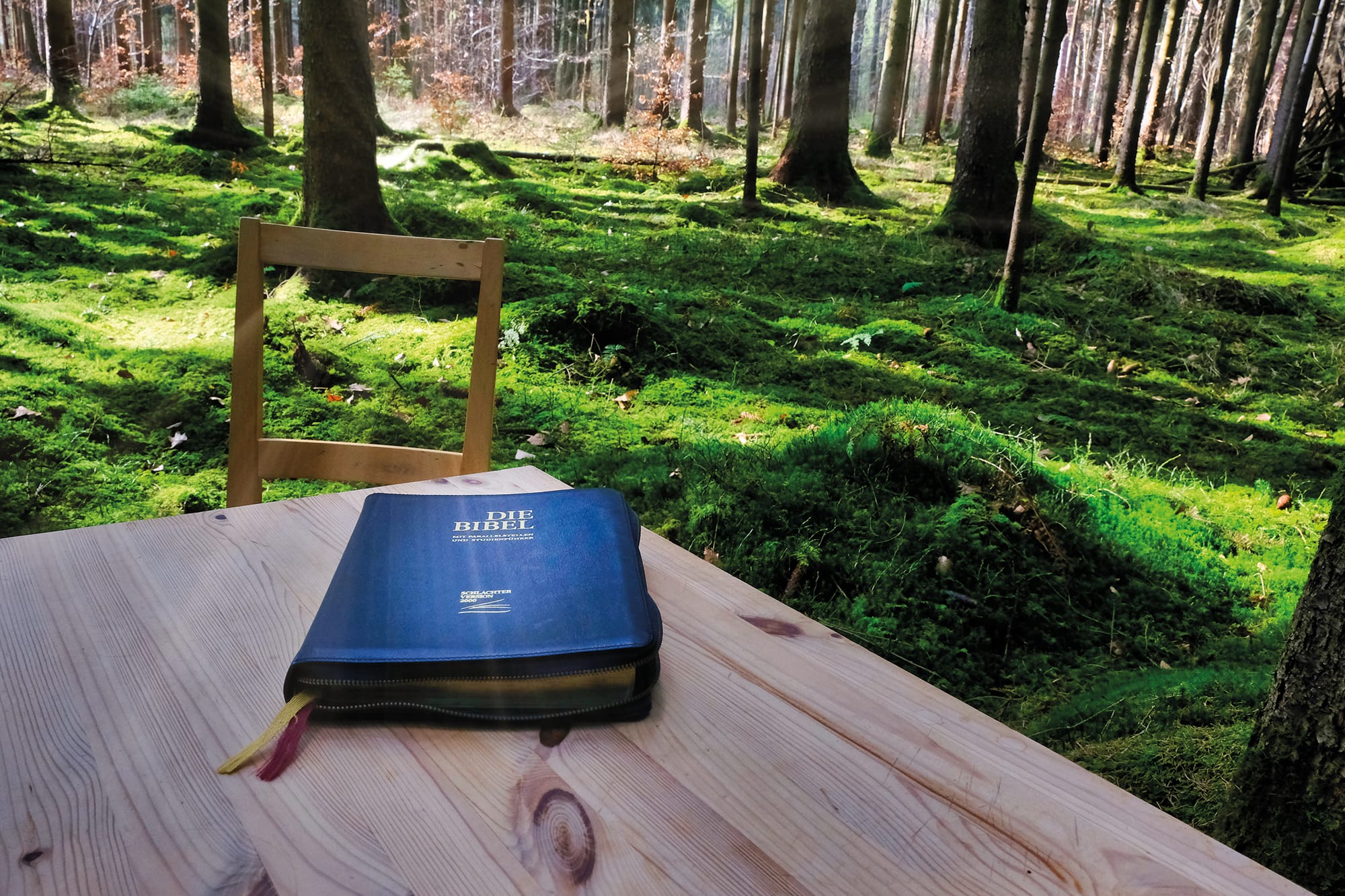 Bibel auf einen Tisch im Wald Bibel auf einen Tisch im Wald
