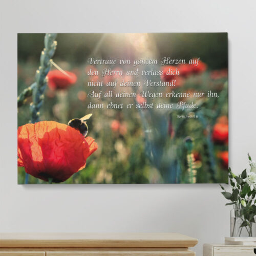 Hauptbild - Mohnfeld Biene - Sprüche 3, 5.6