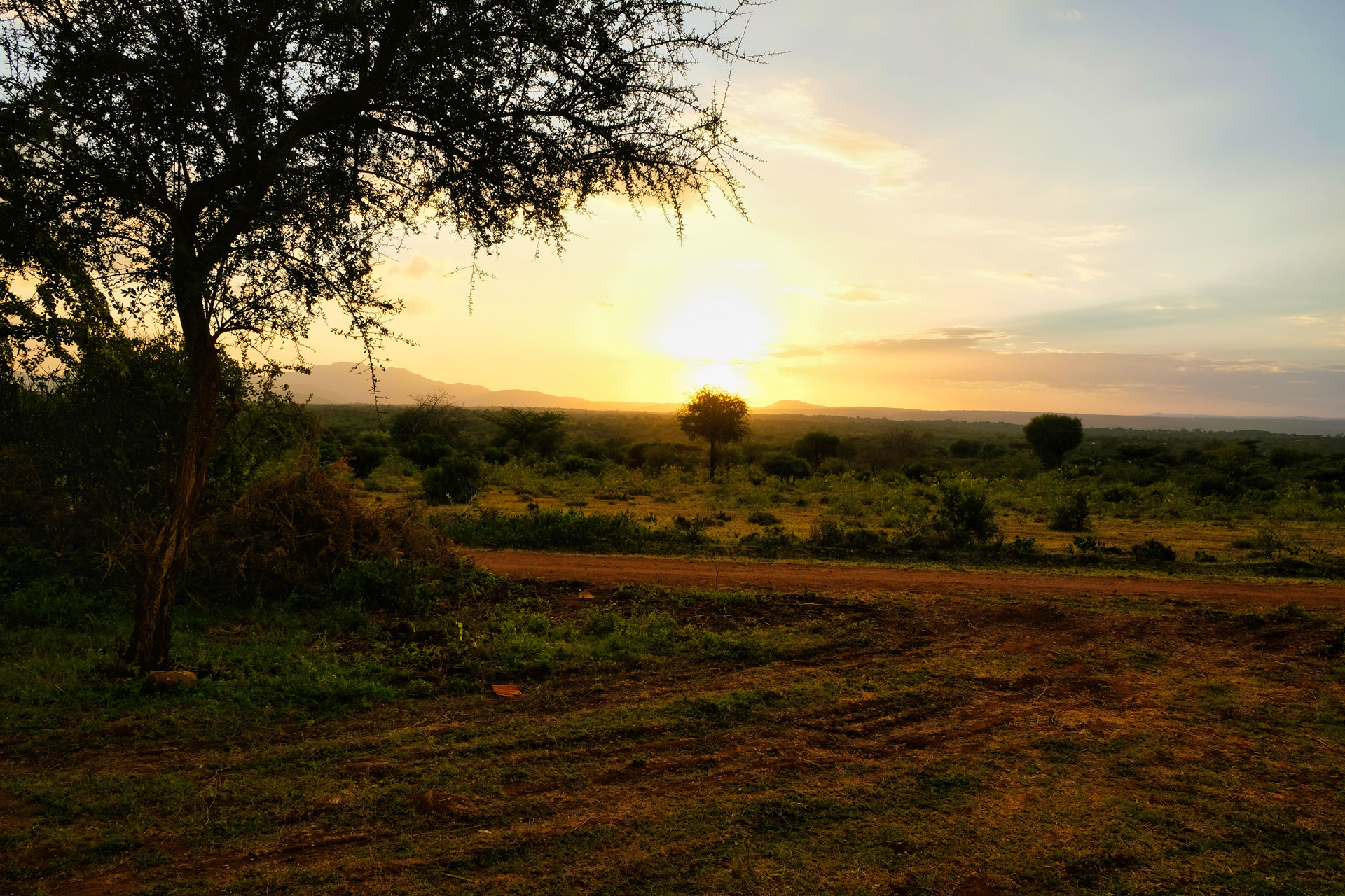 Afrikanische Savanne Afrikanische Savanne