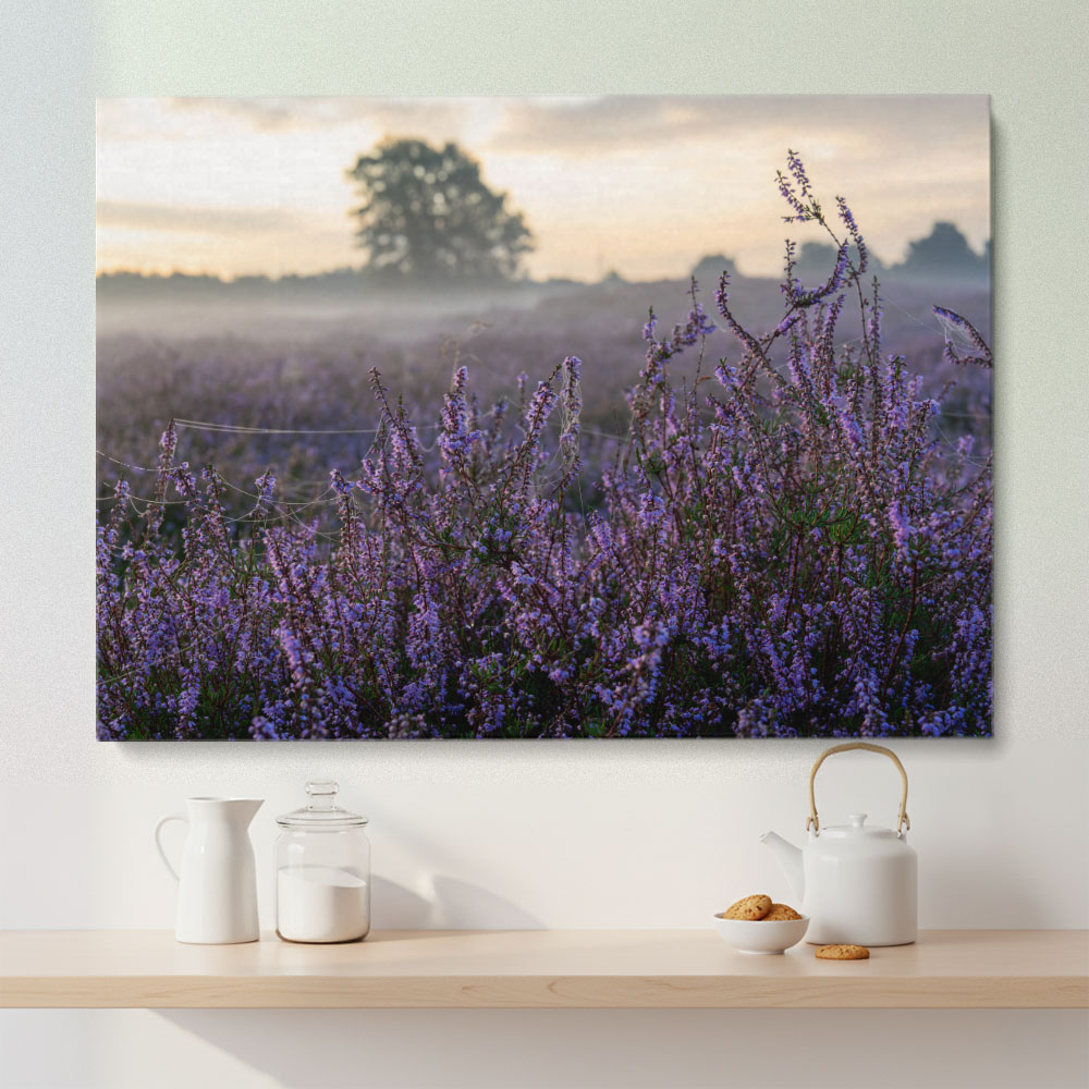 Heide im Nebel Leinwandbild – lila Heideblüten im Morgenlicht, ruhige Naturfotografie (Hauptmotiv)