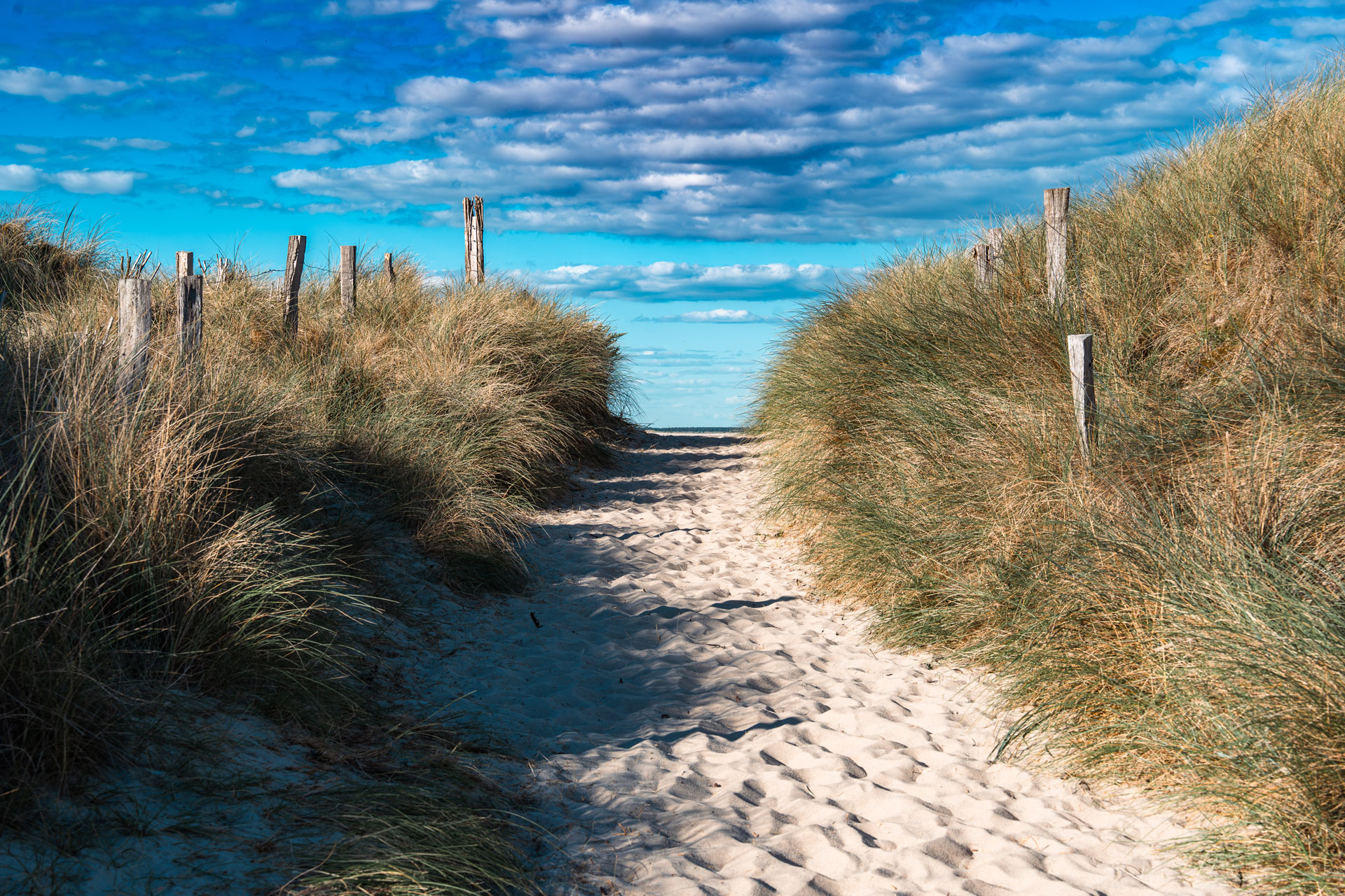 Sandweg durch Dünen – natürliche Küstenfotografie mit weitem Himmel Sandweg zwischen Dünengras und Holzpfählen unter blauem Himmel mit markanten Wolken an der Küste