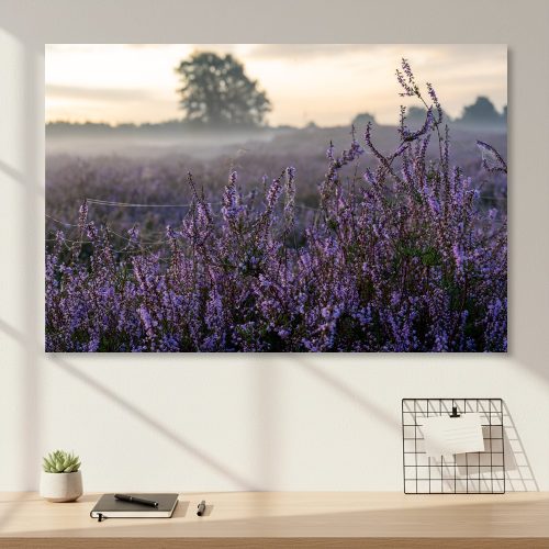Heide im Nebel als Leinwandbild im hellen Wohnraum mit Schreibtisch und warmem Tageslicht