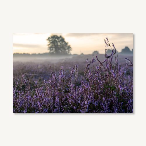 Christliches Leinwandbild „Heide im Nebel“ als Hauptmotiv mit ruhiger Natur- und Glaubenswirkung.