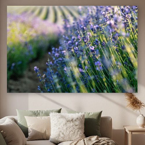 Christliches Leinwandbild „Lavendel im Morgenlicht“.