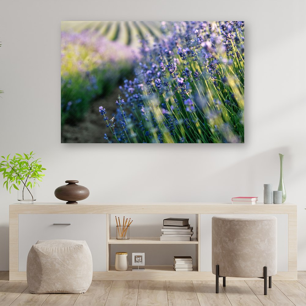 Christliches Leinwandbild „Lavendel im Morgenlicht“ als inspirierendes Wandbild im Büro.